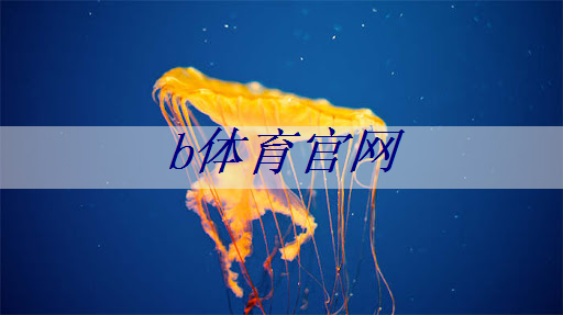 济宁市乒乓球台.txt