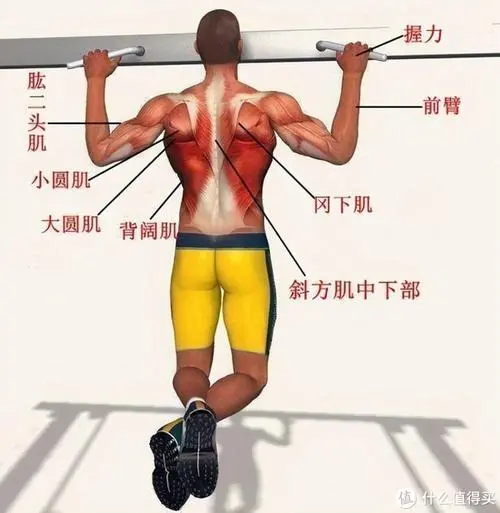 室内健身有氧器械哪种好